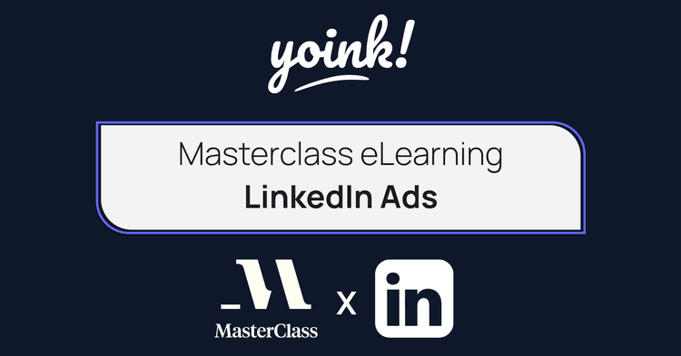 Masterclass eLearning LinkedIn Ads 